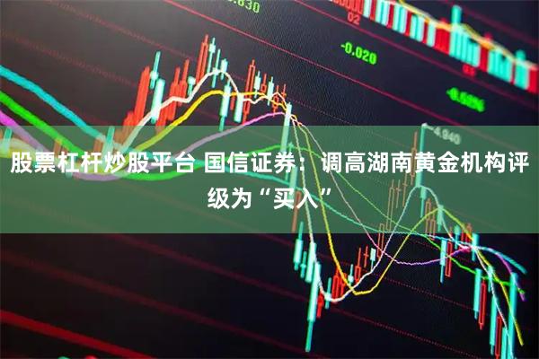 股票杠杆炒股平台 国信证券：调高湖南黄金机构评级为“买入”